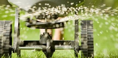 Veteran Professional Lawn Service - Fertilization