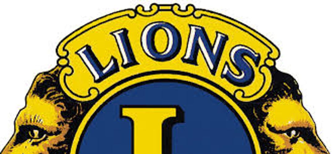 Lions Club, Charity, Charitable Organization, Wantagh, Local Charity, Wantagh Lions Club, Give Back