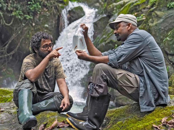 The team of the 2022 Siang Expedition discovering new and lost wildlife species