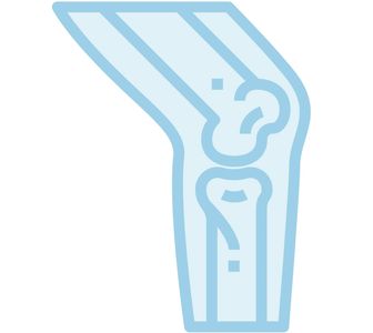 Simplified illustration of a human knee joint.