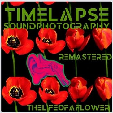 Album cover with red flowers and green text