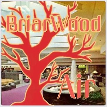 BriarWood Air logo with mall interior background.
