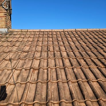 Roof tiles after professional moss removal showing a cleaner roof surface in Henley