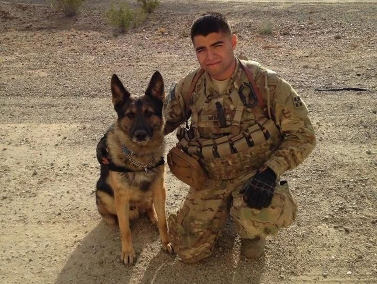 Soldier in camouflage uniform kneels next to a German Shepherd dog in a desert setting.