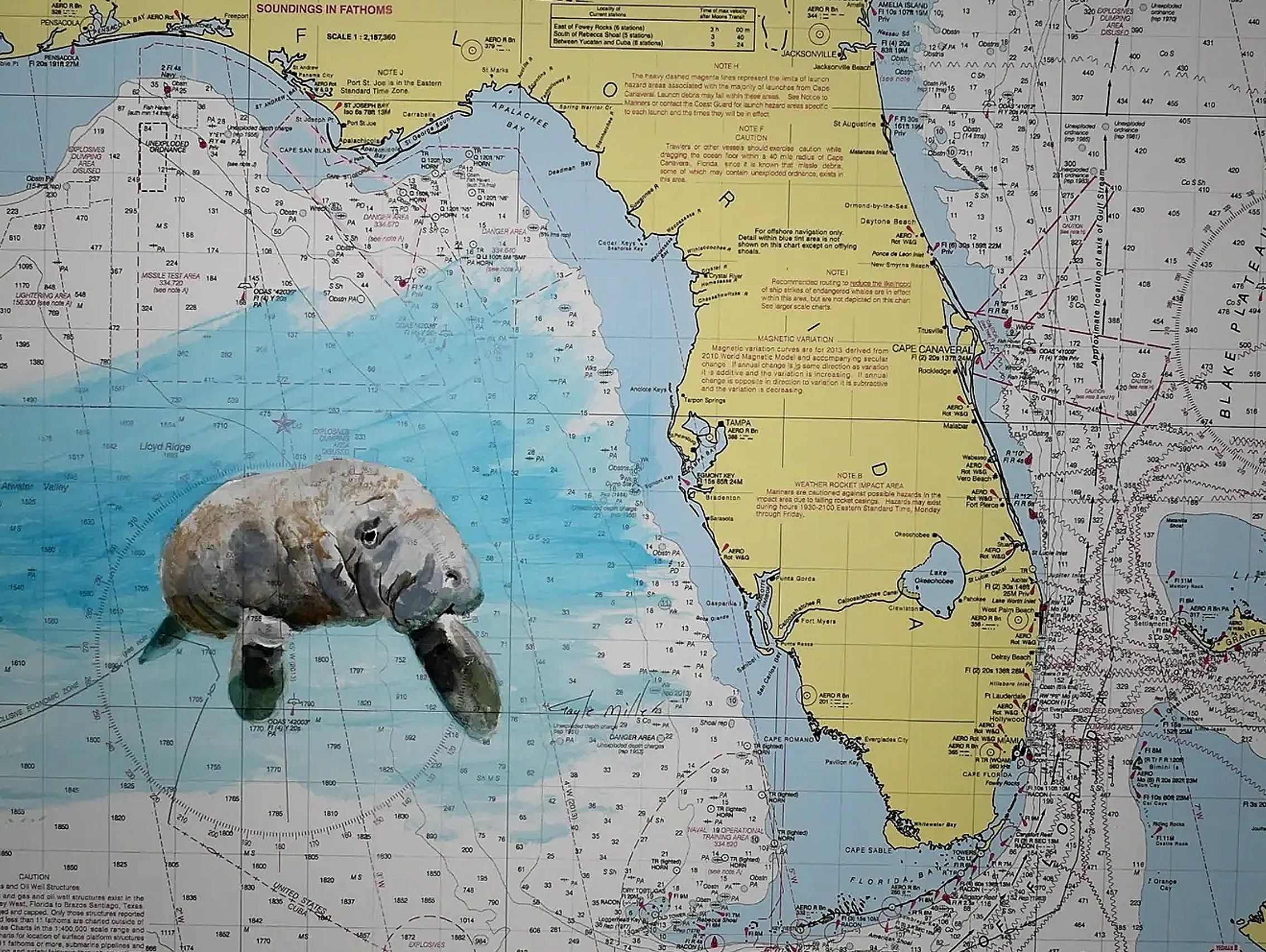 State of Florida Manatee nautical chart art painting