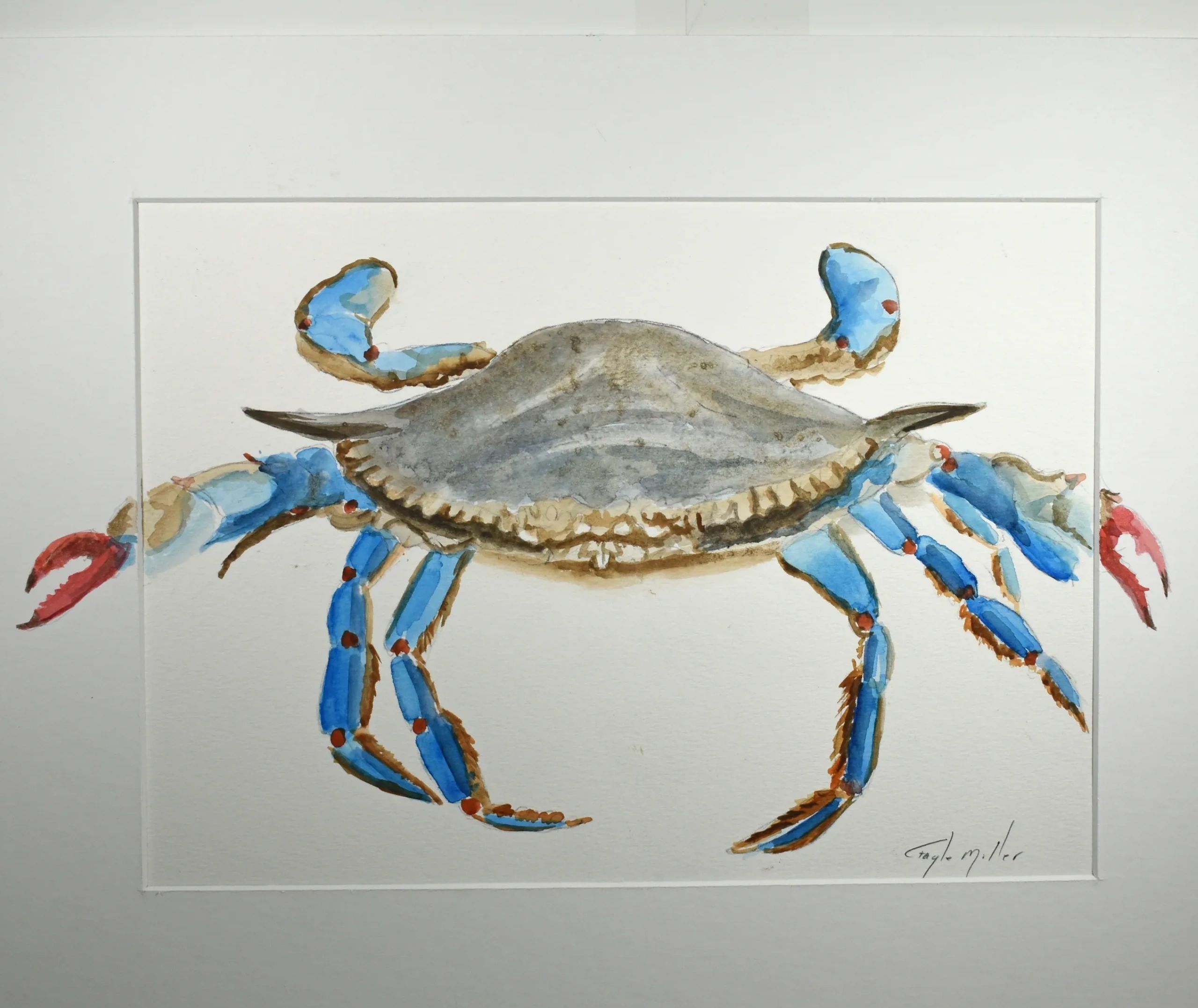 Blue Crab watercolor painting