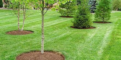 Commercial lawn care lawn care service affordable lawn care