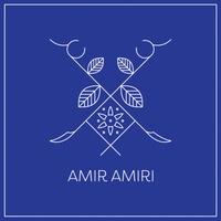 AMIR AMIRI