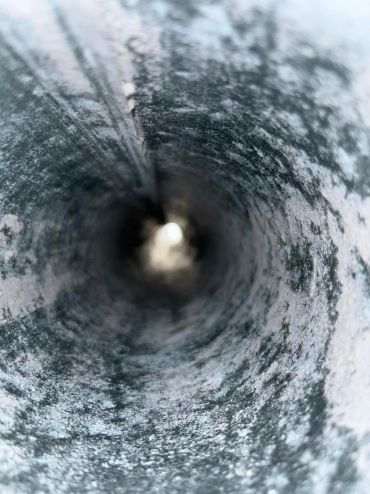 Inside view of a weathered, mossy pipe.