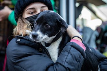 Person wearing a mask hugging a black and white puppy.