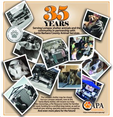 Celebrating 35 years of serving Lompoc shelter animals with community support and care.