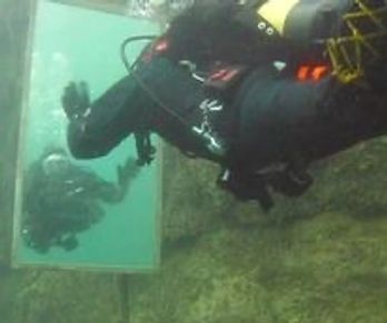 scuba diver looks at mirror underwater