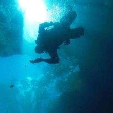 Scuba diver silhouette from below