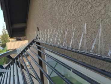 bird spikes installation to get rid of birds
