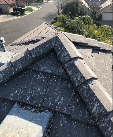bird poop on roof of home