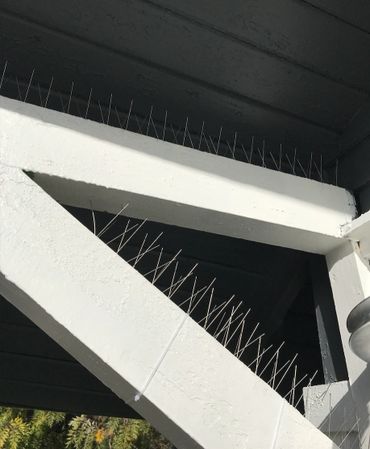 bird spike installation to get rid of birds