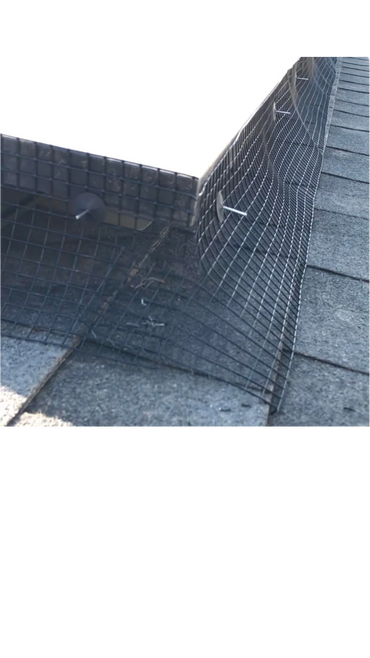 protect your solar panels from pigeons and birds with bird guard