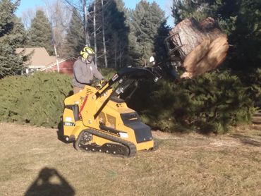 Tree Removal with the Vermeer 925tx