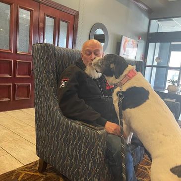 What better way to spend Easter than  Veteran  Ben , getting love from Charlie one of our Rescue dog