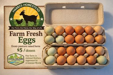 Pasture raised farm fresh eggs
