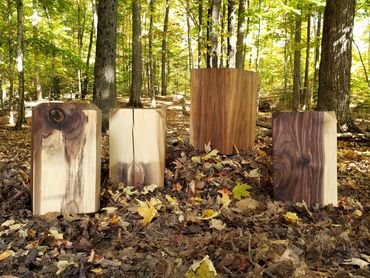 Black Walnut Minimalist Contemporary Side Tables in the Haliburton Forest
