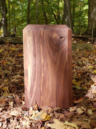 Black Walnut Minimalist Contemporary Side Table in the Haliburton Forest