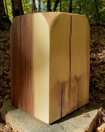Black Walnut Minimalist Contemporary Side Table in Haliburton Forest