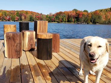 Canadian Hardwood Minimalist Contemporary Side Tables with Smiling Labrador Retriever
