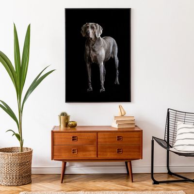 Modern interior with dog portrait and wooden furniture.