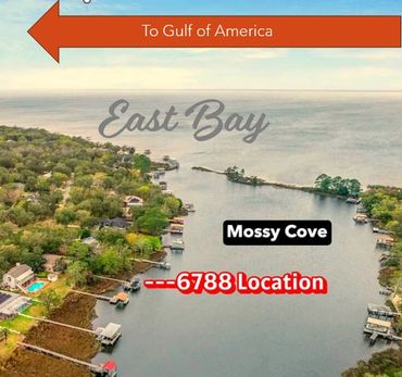 Aerial view of East Bay's Mossy Cove with homes and docks along the water.