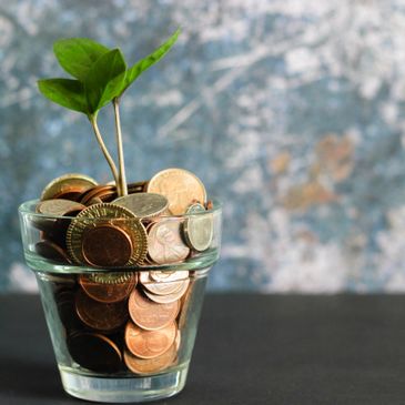 growing money in jar