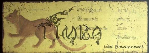 Antique yellow script with cat.