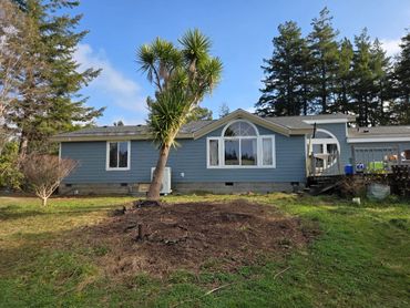 Blue house with large windows and a palm tree in front yard.
