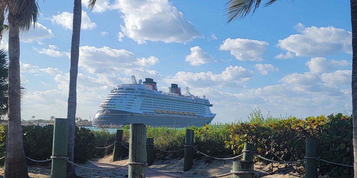 Large cruise ship near a tropical beach with palm trees and a blue sky.
