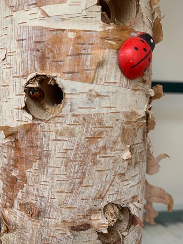 Ladybug safe haven , DIY lady bug house