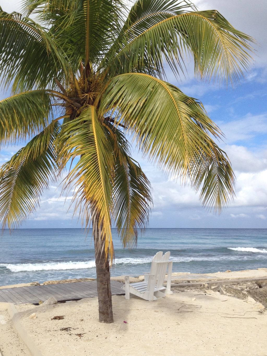 Beach picture. Secrets Wild Orchid. Jamaica. All-inclusive resort. Adults-only. Swim-up pool bar. T