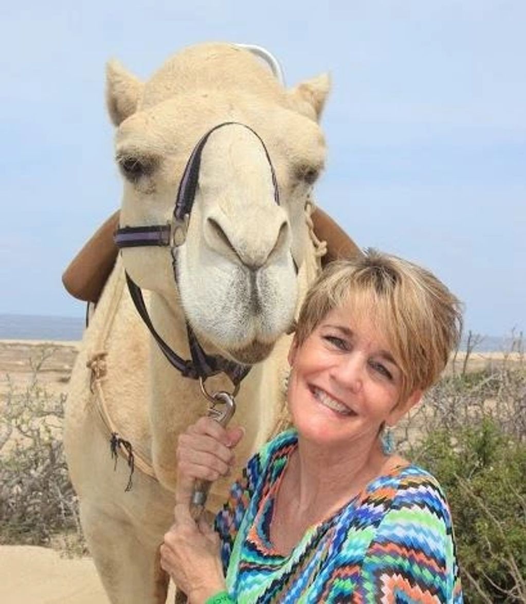 Cabo San Lucas. Cabo. Camel ride on beach. Mexico excursions. Honeymoon excursion. Destination wedd