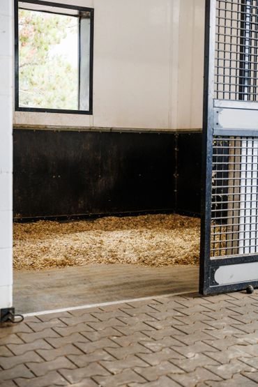 Empty horse stable with wood shavings and an open metal gate.