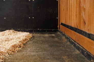 Empty stable stall with wood shavings on the floor.