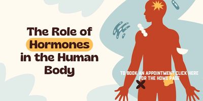 Sexual hormones, HRT, hormone therapy, bioidentical hormones. In Rowlett, Sunnyvale, Garland Dallas