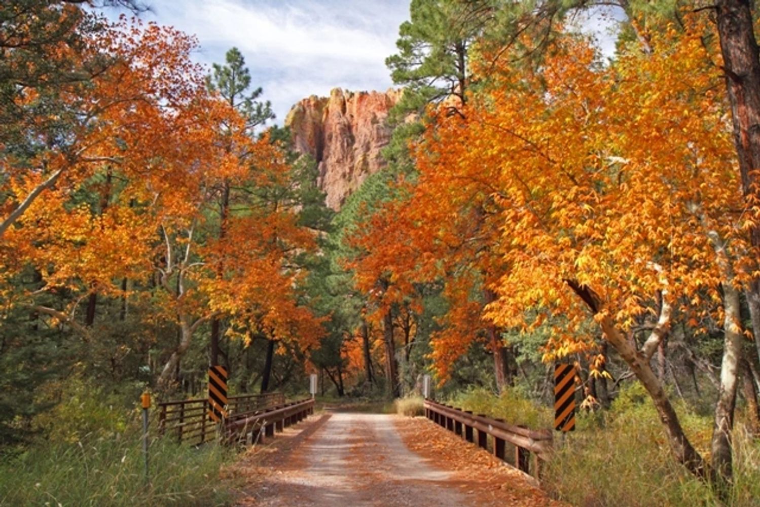 Cave Creek Canyon