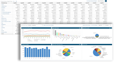IT Expense Management