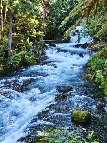 A flowing river with small waterfalls surrounded by dense green forest.