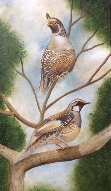 Sold - Painting of adult quail both male and female that i did on a commission as part of a series.