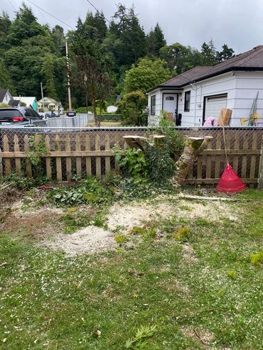Tree stump with a red rake near a fence and house.