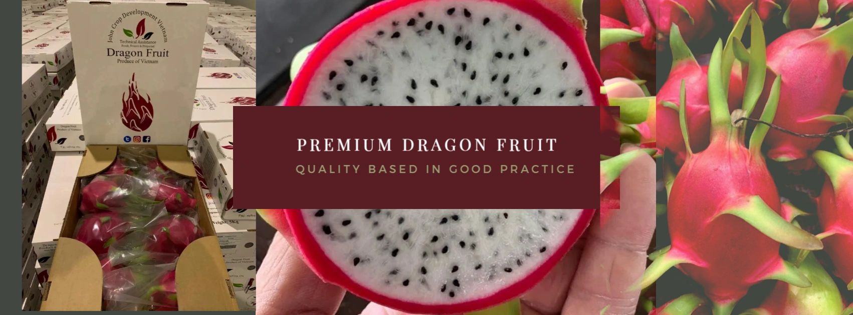 Dragon Fruit sales ad