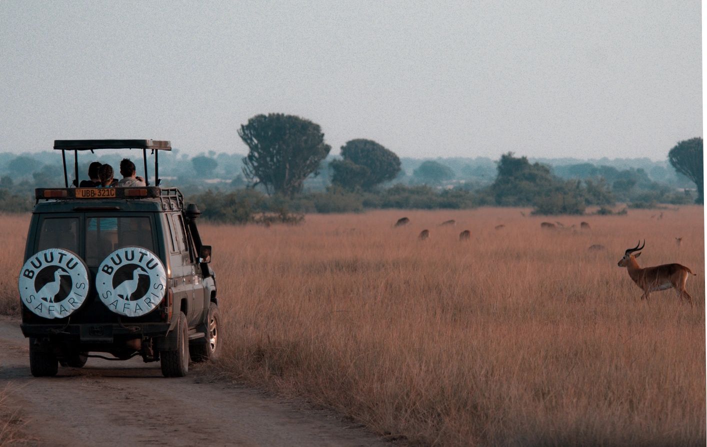 Tourist enjoying a view of antelopes grazing in Murchison falls national park