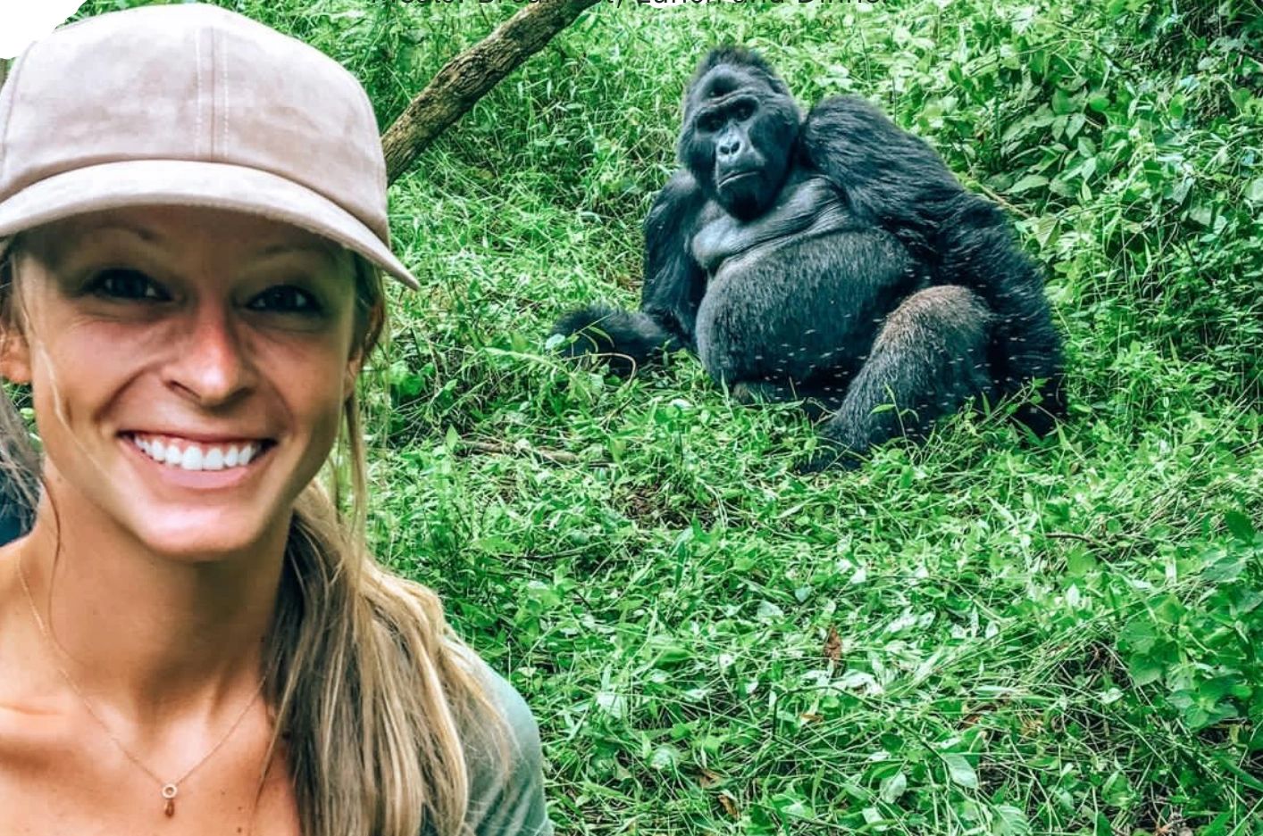 A silverback gorilla in Bwindi impenetrable forest national park