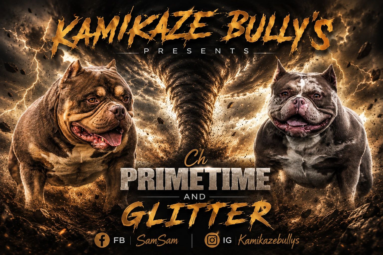 Two muscular dogs in a stormy background with bold text promoting Kamikaze Bully's.