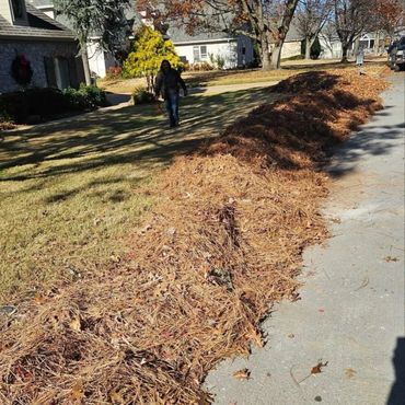 A person walking near a large pile of leaves along a suburban street.